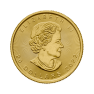 1/2 troy ounce gouden Maple Leaf munt - foto 2 - voorbeeld