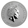 1 troy ounce platina Platypus munt - foto 2 - voorbeeld