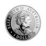 1 troy ounce zilveren Kookaburra munt - foto 2 - voorbeeld