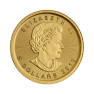 1/10 troy ounce gouden Maple Leaf munt - foto 2 - voorbeeld