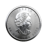 1 troy ounce platina Maple Leaf munt - foto 2 - voorbeeld